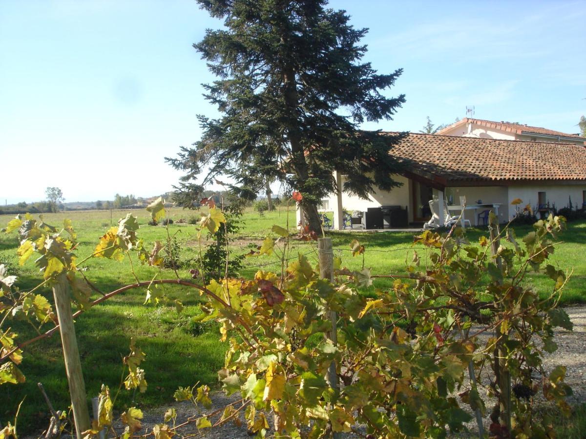 Location Gite 4 Personnes Mazeres - La Petite Maison Exterior photo