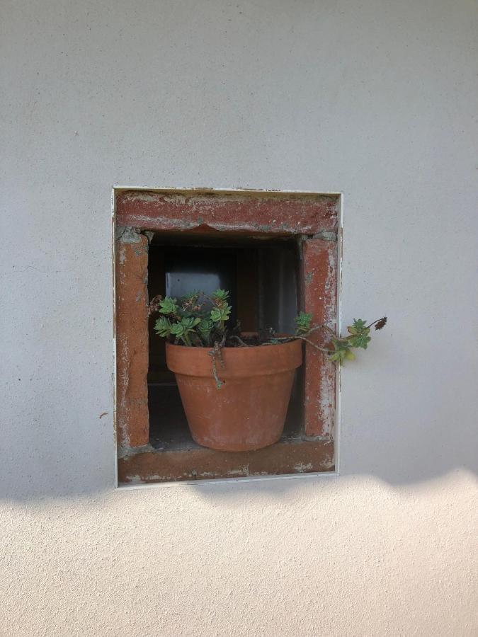 Location Gite 4 Personnes Mazeres - La Petite Maison Exterior photo